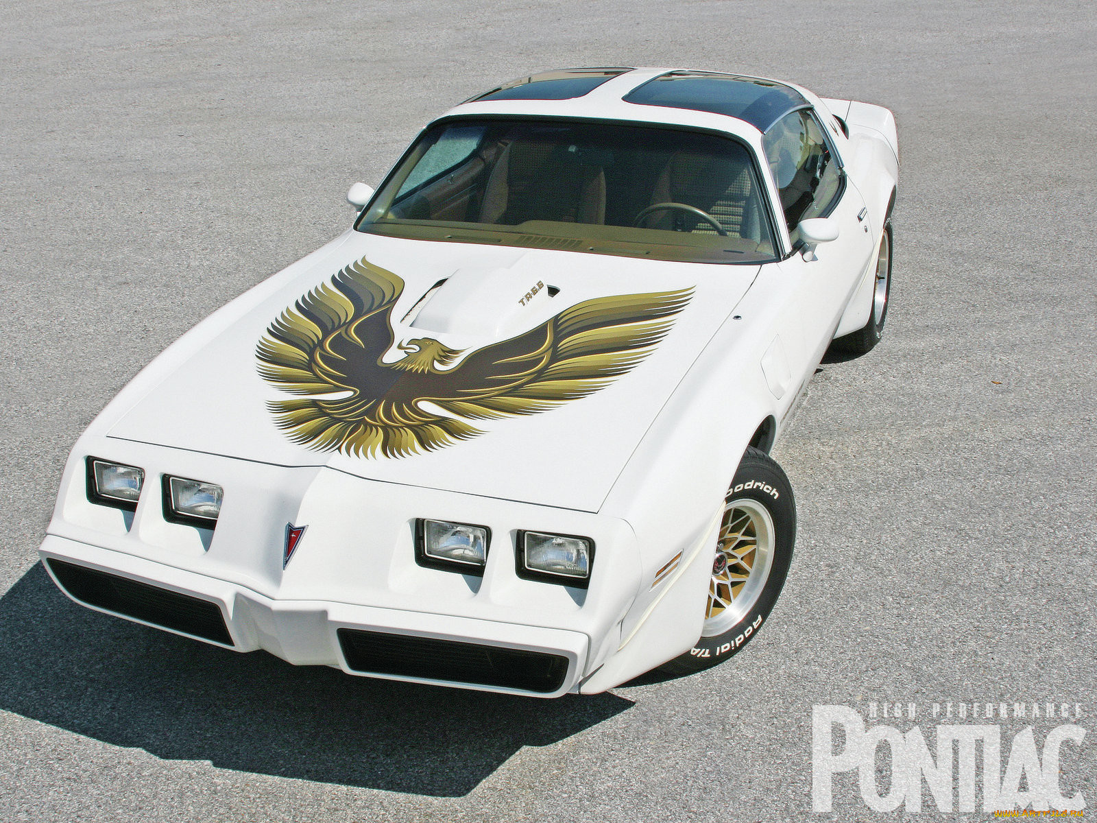 1979, pontiac, trans, am, 